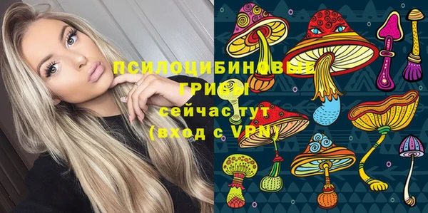 таблы Елабуга