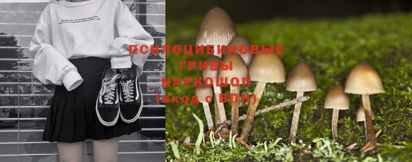 амфетамин Ельня
