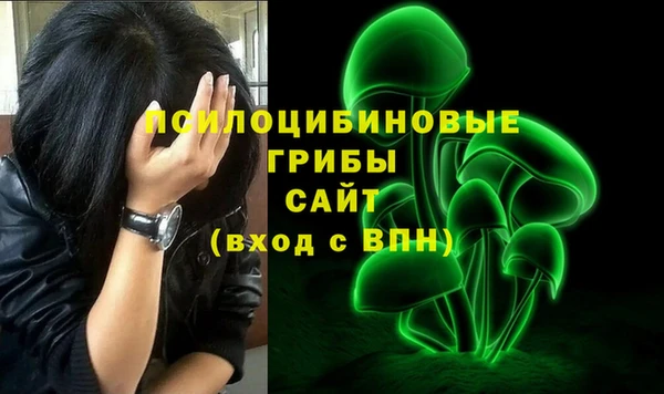 амфетамин Ельня